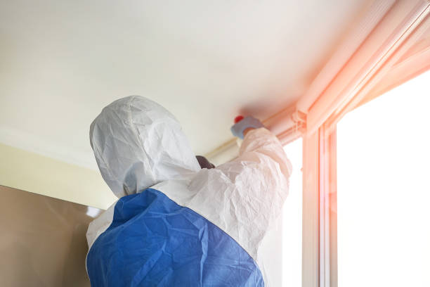 Why You Should Choose Our Mold Remediation Services in Vandergrift, PA